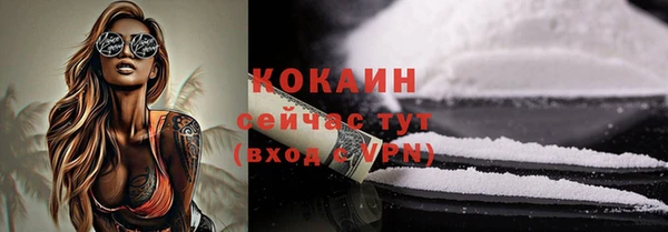 гидра Горнозаводск