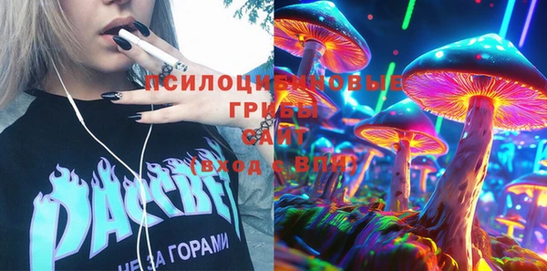 гидра Горнозаводск