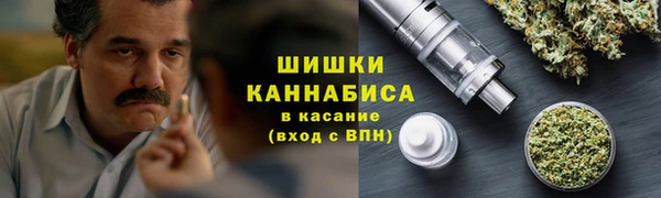 гидра Горнозаводск