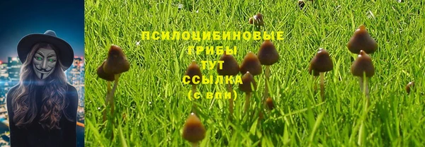 кокаин колумбия Горно-Алтайск