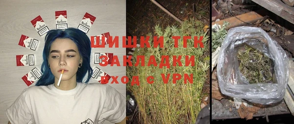 гидра Горнозаводск