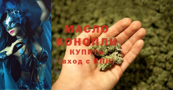 гидра Горнозаводск