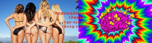 гидра Горнозаводск