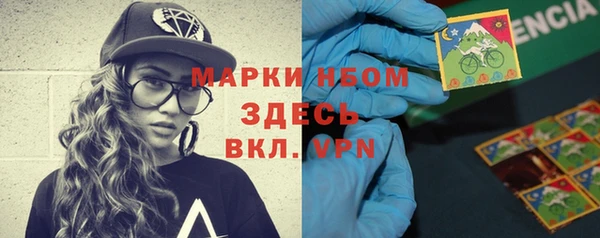 гидра Горнозаводск